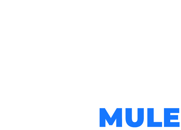 Music Mule Logo